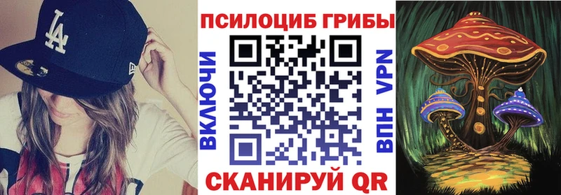 Галлюциногенные грибы прущие грибы  Поворино 